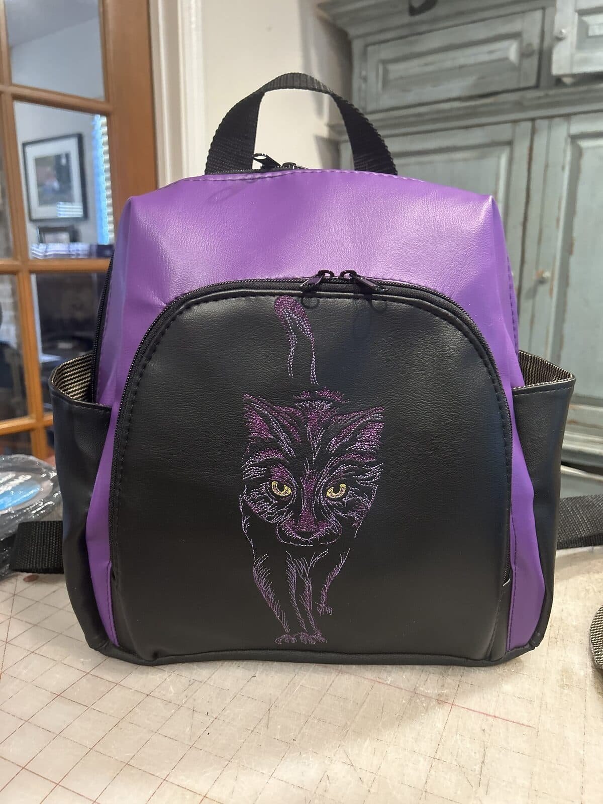 The Mystic Cat